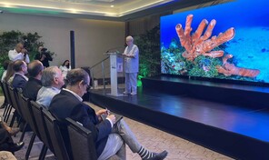 Informe sobre arrecifes en RD advierte deterioro, pero identifica se&ntilde;ales de resiliencia