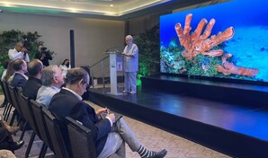 Informe sobre arrecifes en RD advierte deterioro, pero identifica se&ntilde;ales de resiliencia