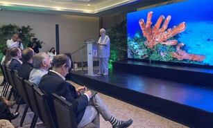 Informe sobre arrecifes en RD advierte deterioro, pero identifica se&ntilde;ales de resiliencia