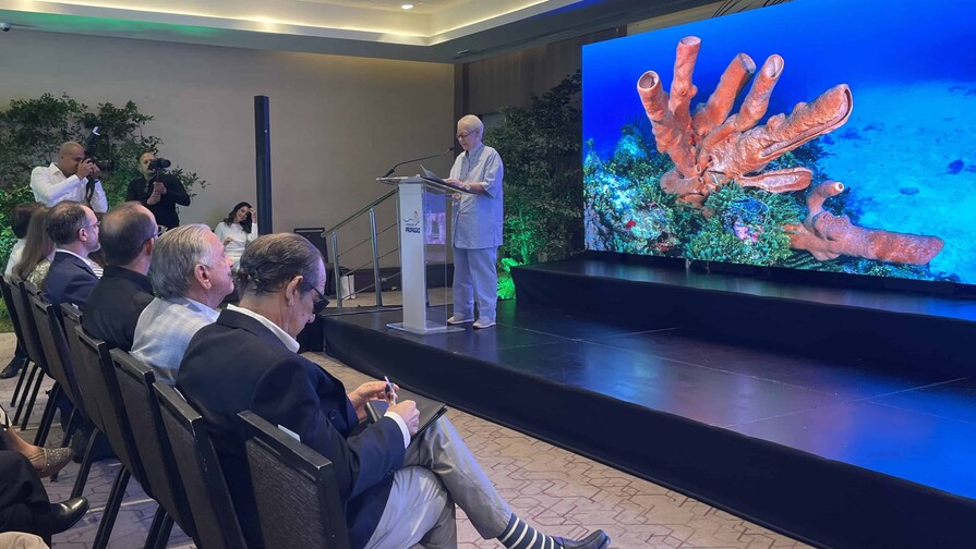 Informe sobre arrecifes en RD advierte deterioro, pero identifica señales de resiliencia Informe sobre arrecifes en RD advierte deterioro, pero identifica señales de resiliencia