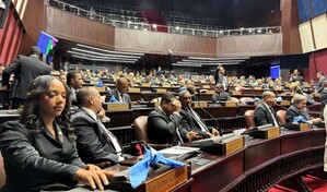 Tres reformas del Ejecutivo pondr&aacute;n a prueba la fuerza congresual del PRM