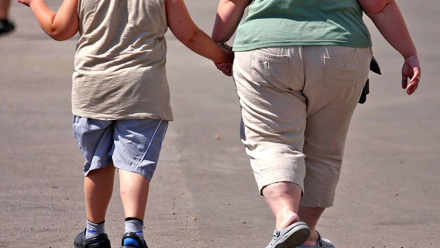 Unos padres obesos antes del embarazo se asocia a m&aacute;s riesgo de h&iacute;gado graso en los hijos