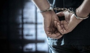 Interpol desmantela red de abuso infantil internacional: dos detenidos en Rep&uacute;blica Dominicana