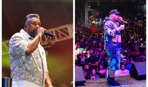 Luis Miguel del Amargue y Bulin 47 cierran con &eacute;xito el Carnaval Vegano 2026