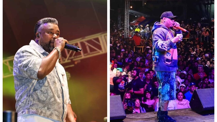 Luis Miguel del Amargue y Bulin 47 cierran con &eacute;xito el Carnaval Vegano 2026