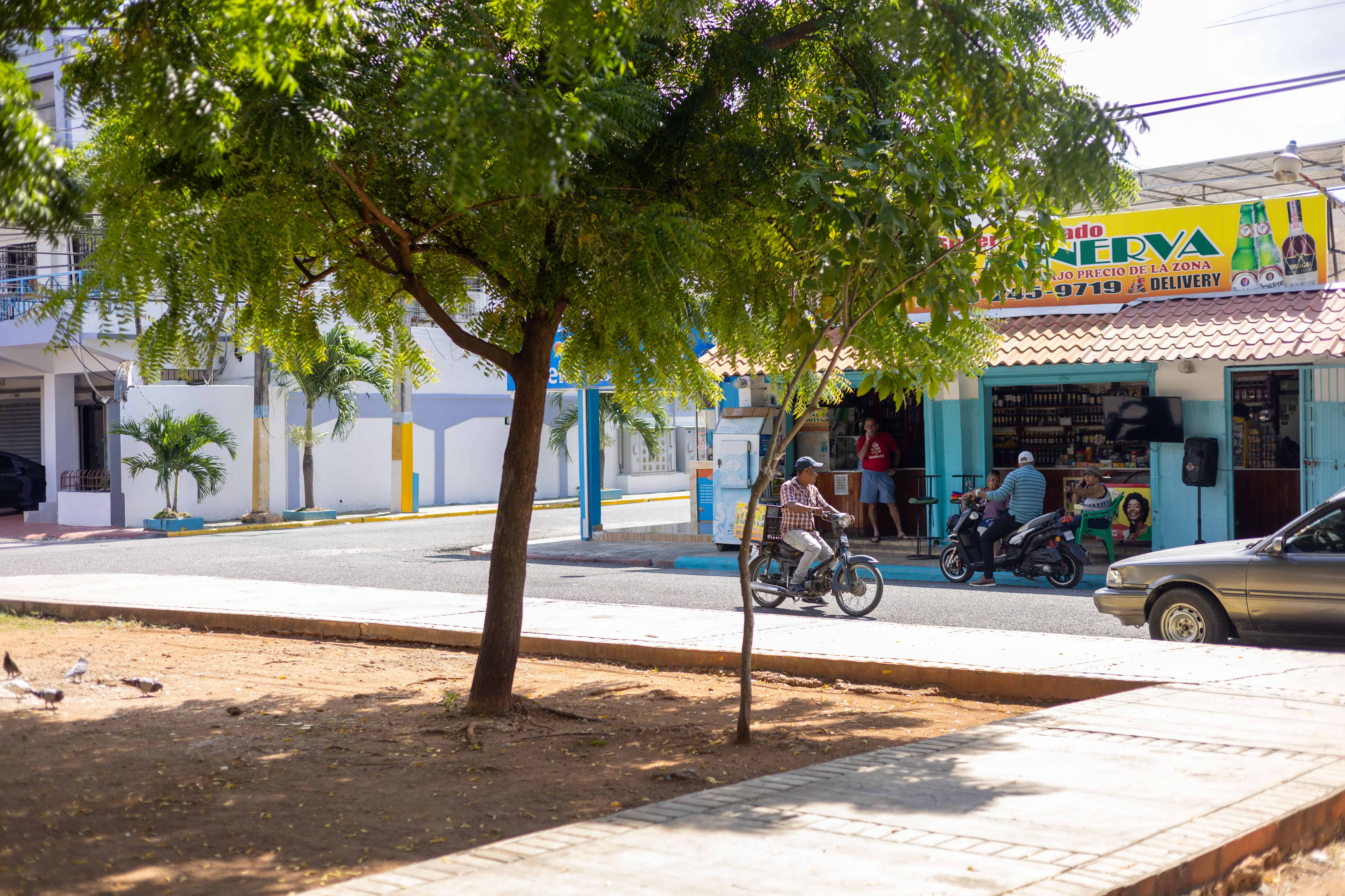 El parque cuenta con árboles que ofrecen gran sombra.