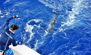 Pesca deportiva en RD: el turismo de &eacute;lite que impulsa la inversi&oacute;n y el desarrollo inmobiliario