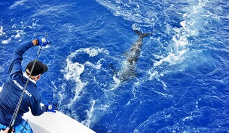 Pesca deportiva en RD: el turismo de &eacute;lite que impulsa la inversi&oacute;n y el desarrollo inmobiliario