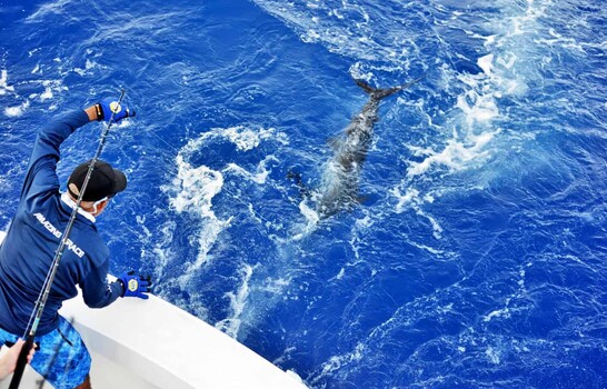 Pesca deportiva en RD: el turismo de &eacute;lite que impulsa la inversi&oacute;n y el desarrollo inmobiliario