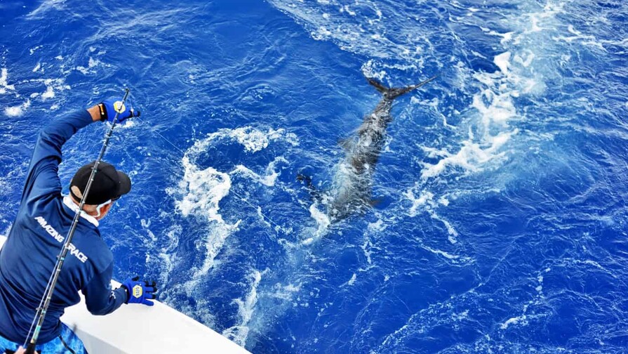 Pesca deportiva en RD: el turismo de &eacute;lite que impulsa la inversi&oacute;n y el desarrollo inmobiliario