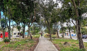 Parque de Villa Carmen: 40 a&ntilde;os entre promesas y abandono