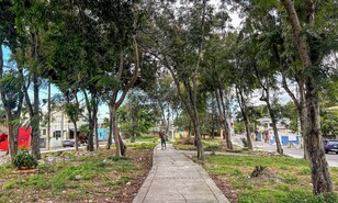 Parque de Villa Carmen: 40 a&ntilde;os entre promesas y abandono