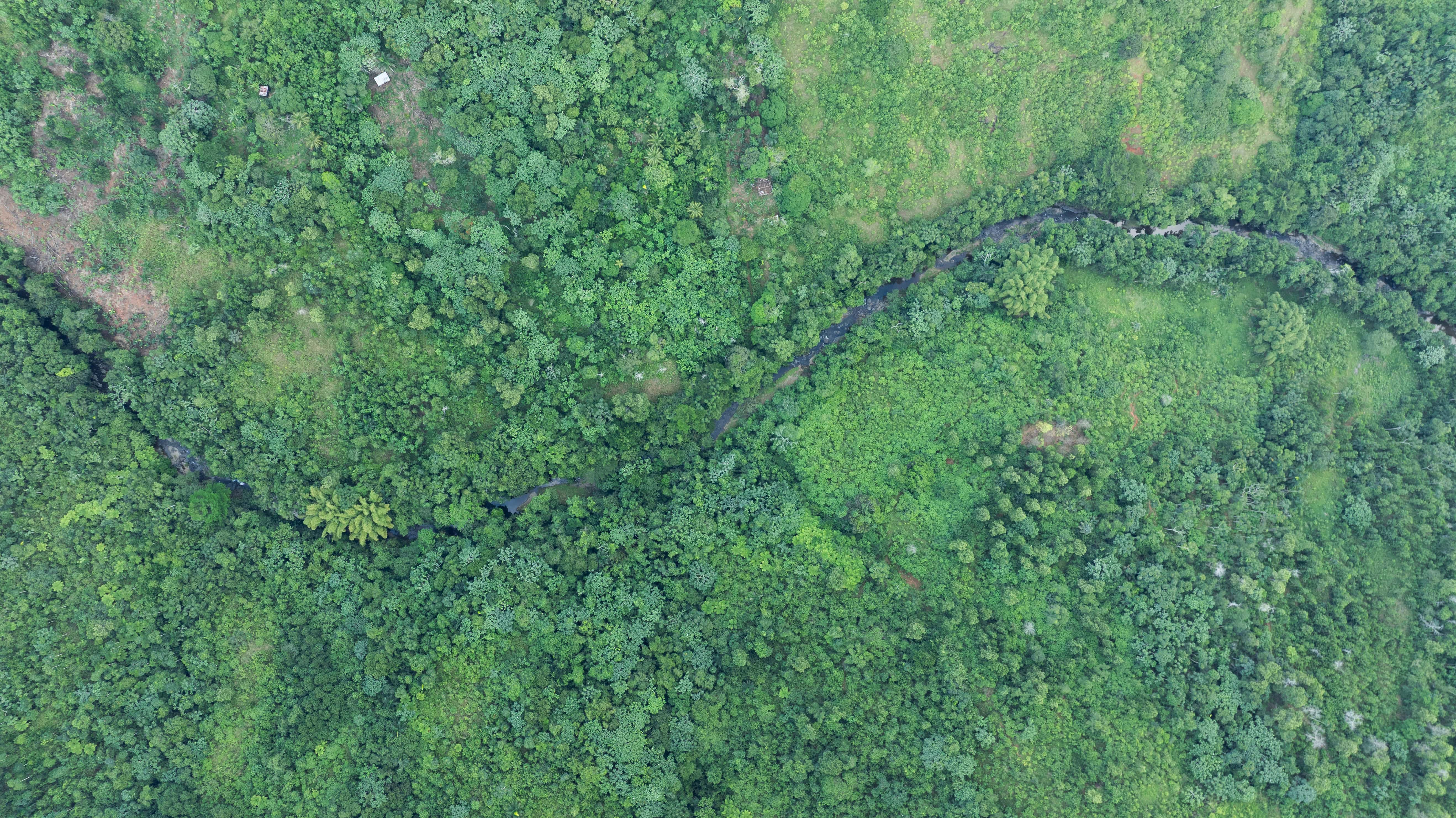 [object HTMLTextAreaElement]