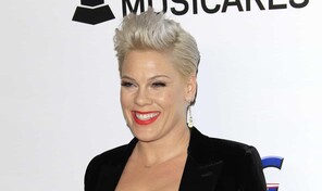 Pink cancela los conciertos pautados en Ciudad de M&eacute;xico