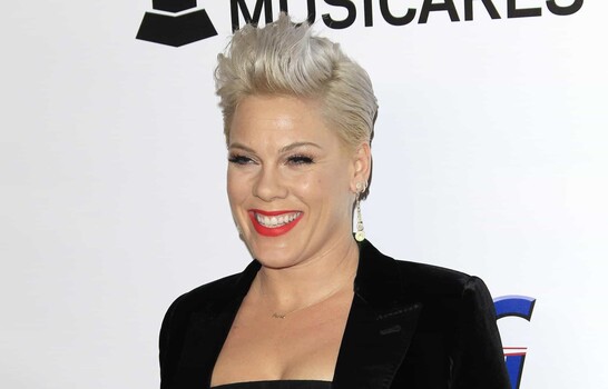 Pink cancela los conciertos pautados en Ciudad de M&eacute;xico