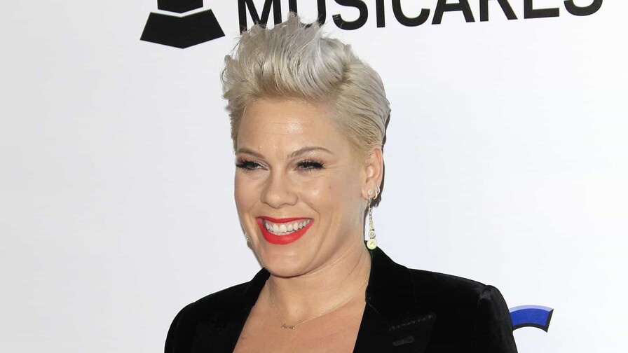 Pink cancela los conciertos pautados en Ciudad de M&eacute;xico