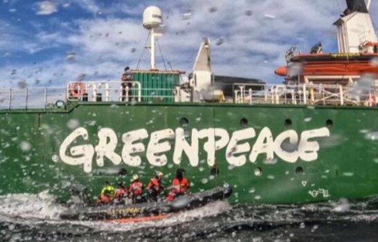 Greenpeace advierte sobre el grave riesgo ecol&oacute;gico del bloqueo petrolero en el Golfo P&eacute;rsico