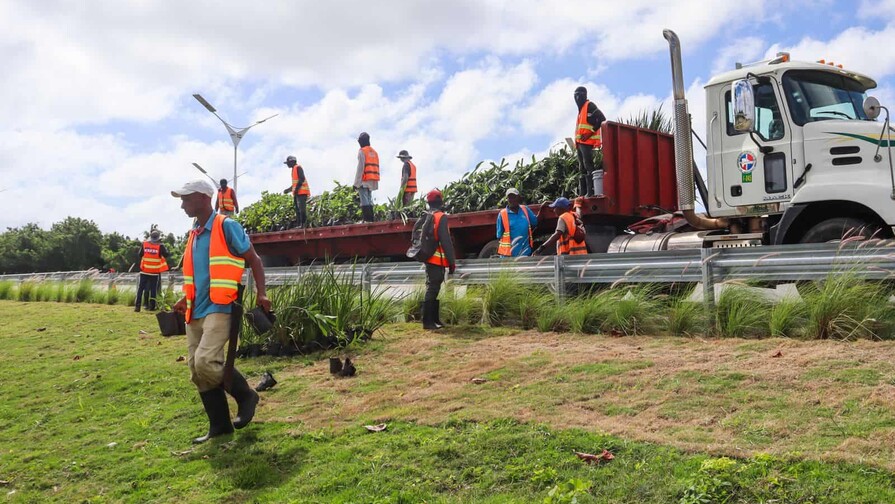 Siembran m&aacute;s de 20 mil plantas ornamentales en autopistas del pa&iacute;s