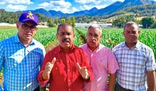 El PLD reclama al Gobierno saldar deudas con productores de ajo