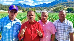 El PLD reclama al Gobierno saldar deudas con productores de ajo