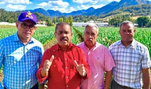 El PLD reclama al Gobierno saldar deudas con productores de ajo