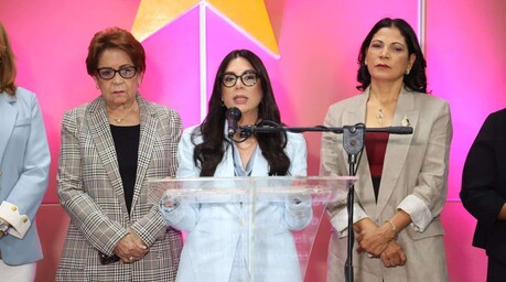 El PLD denuncia aumento en vulneraci&oacute;n de derechos y violencia hacia las mujeres