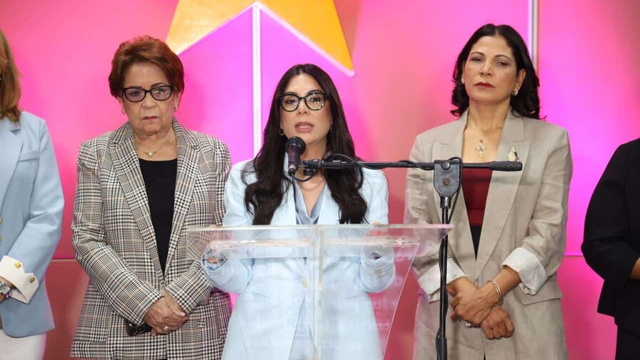 El PLD denuncia aumento en vulneraci&oacute;n de derechos y violencia hacia las mujeres