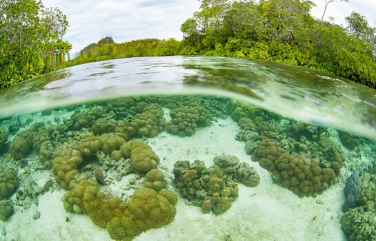 El falso conflicto entre &aacute;reas protegidas y propiedad privada