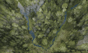 El Ejecutivo crea comisi&oacute;n para impulsar Observatorio de Pol&iacute;ticas Ambientales