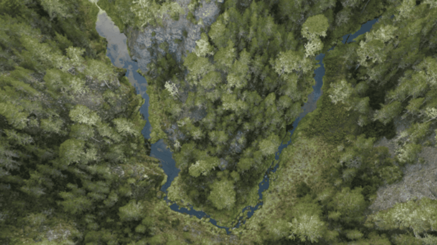 El Ejecutivo crea comisi&oacute;n para impulsar Observatorio de Pol&iacute;ticas Ambientales