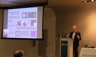 &iquest;Es distinto el cerebro de un feminicida? Investigaci&oacute;n dominicana identifica marcadores asociados