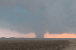 Tornado causa daños en condado de Illinois y derriba árboles y cables eléctricos Tornado causa daños en condado de Illinois y derriba árboles y cables eléctricos