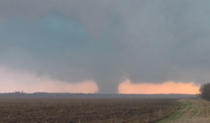 Tornado causa da&ntilde;os en condado de Illinois y derriba &aacute;rboles y cables el&eacute;ctricos