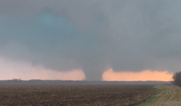 Tornado causa da&ntilde;os en condado de Illinois y derriba &aacute;rboles y cables el&eacute;ctricos