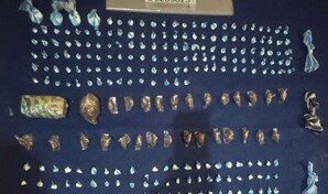 Capturan a dos supuestos miembros de la red de microtr&aacute;fico de Luisito la Uva en Montecristi