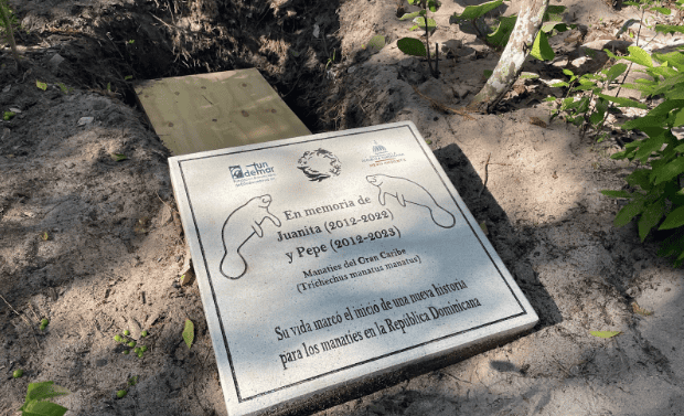 Los restos de Juanita fueron depositados en una caja de madera y se coloc&oacute; una placa conmemorativa.&nbsp;