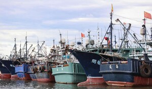 La concentraci&oacute;n de miles de barcos chinos despierta interrogantes