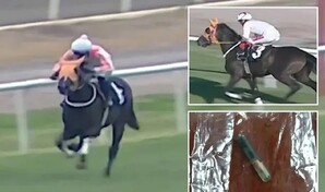 Un chip en el plato revela el uso de carne de un caballo de carreras en un comedor social