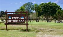 Preservar la integridad del campo, principal objetivo de la renovaci&oacute;n de Diente de Perro