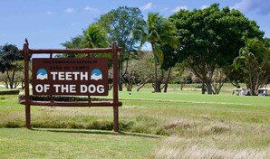 Preservar la integridad del campo, principal objetivo de la renovaci&oacute;n de Diente de Perro