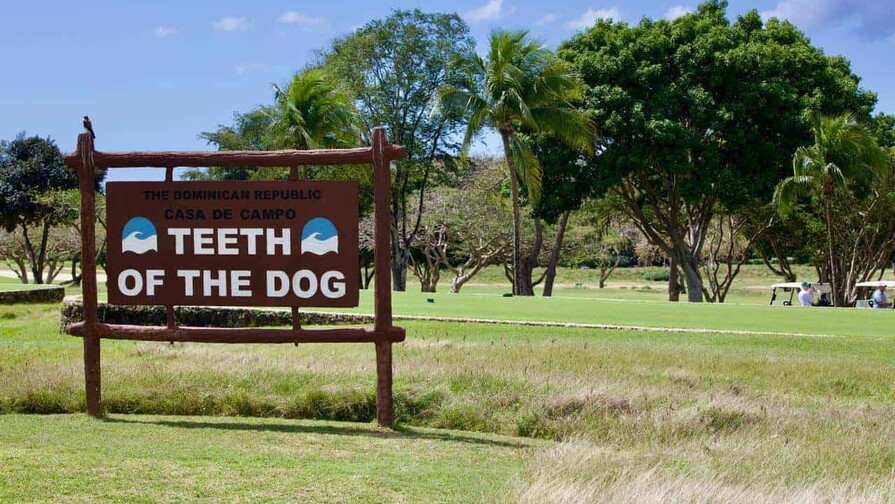 Preservar la integridad del campo, principal objetivo de la renovaci&oacute;n de Diente de Perro