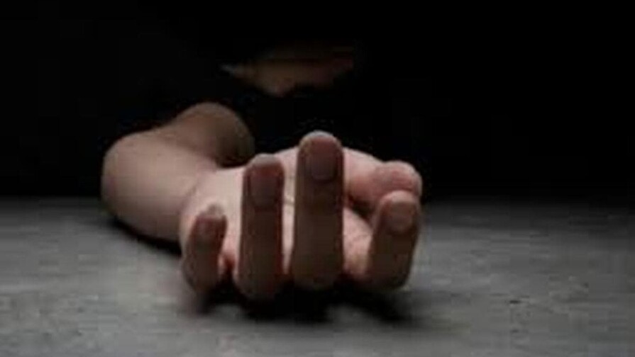 Feminicidio: cuando la ciencia intenta explicar la barbarie Feminicidio: cuando la ciencia intenta explicar la barbarie