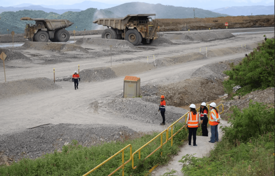 Minerales cr&iacute;ticos: regular bien, atraer mejor