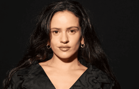 Rosal&iacute;a rectifica su opini&oacute;n de Picasso: No ten&iacute;a conciencia que hab&iacute;a casos de maltrato