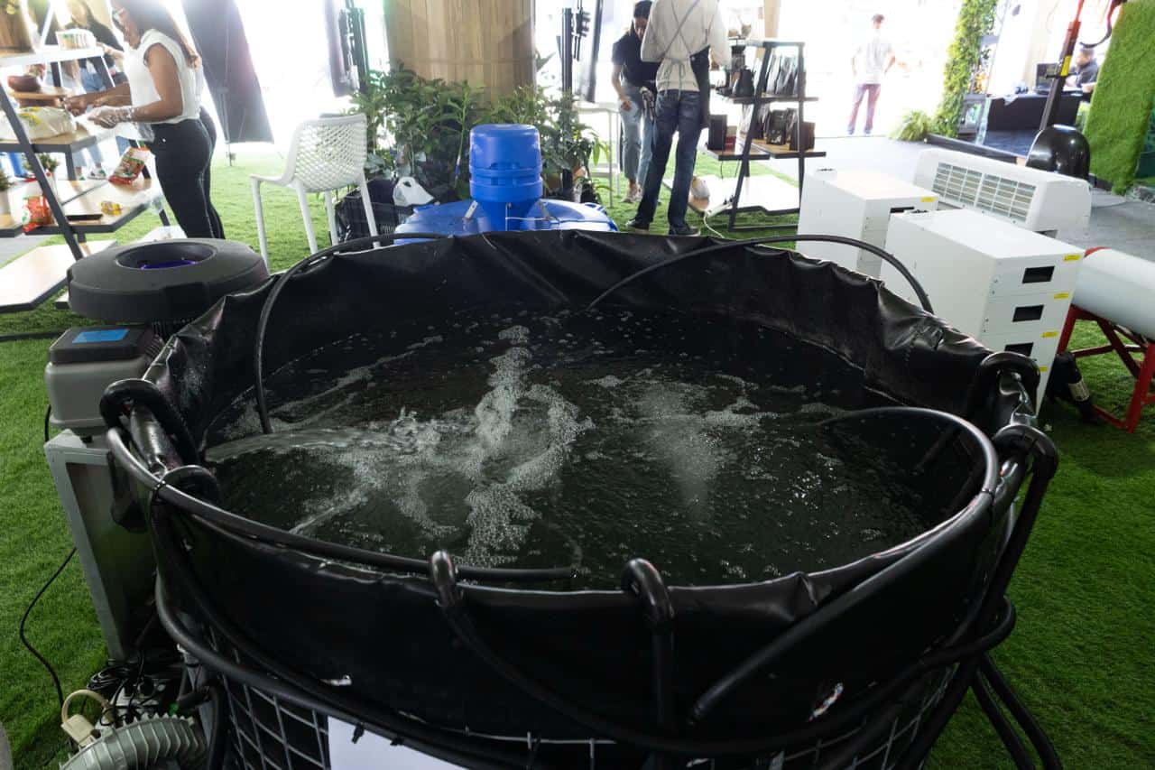 [object HTMLTextAreaElement]