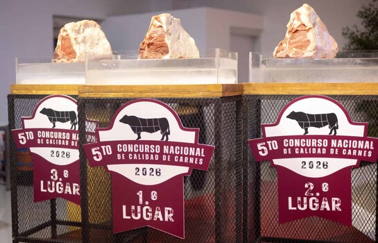 Carne pr&eacute;mium: una gran oportunidad para los productores de ganados