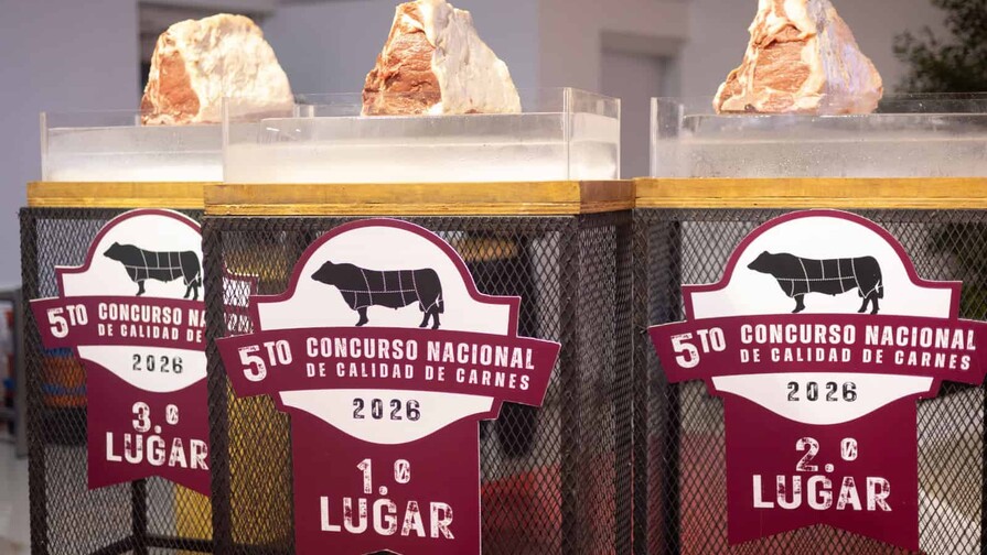 Carne prémium: una gran oportunidad para los productores de ganados Carne prémium: una gran oportunidad para los productores de ganados