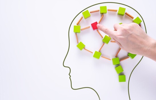 Identifican la prote&iacute;na que permite al cerebro retener informaci&oacute;n a corto plazo