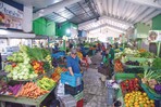 La cartera de crédito al sector agropecuario superó los RD$132 mil millones al cierre de 2025 La cartera de crédito al sector agropecuario superó los RD$132 mil millones al cierre de 2025