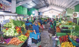 El consumo supera en 12.1 % la producci&oacute;n agropecuaria en 2025